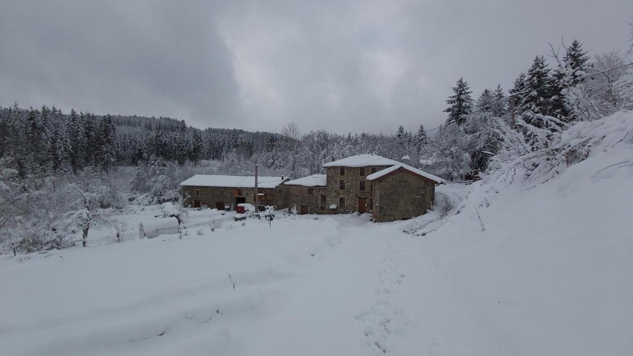 Gite Du Moulin Chenelette المظهر الخارجي الصورة